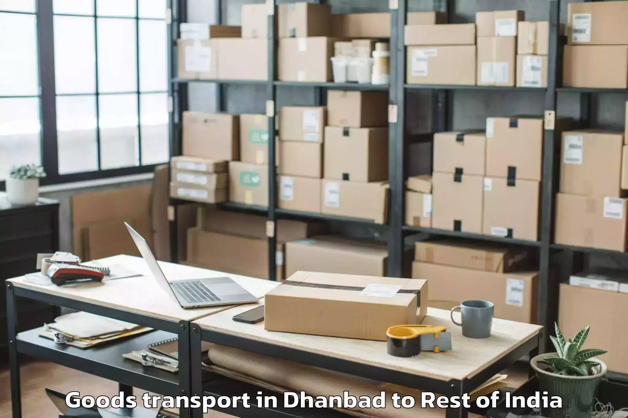 Easy Dhanbad to Bhikiyasan Goods Transport Booking